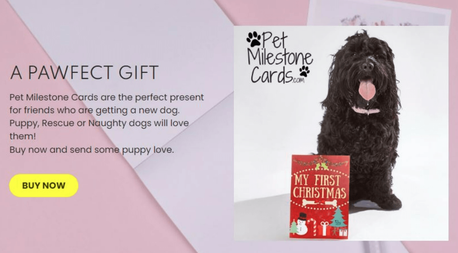 null mercado objetivo